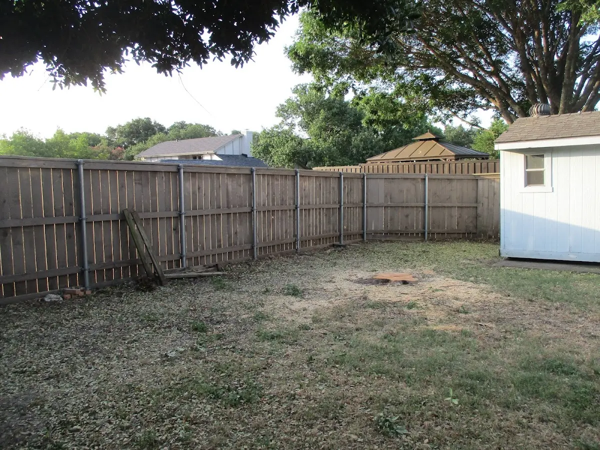 Cleared yard after professional tree removal in Wilmore